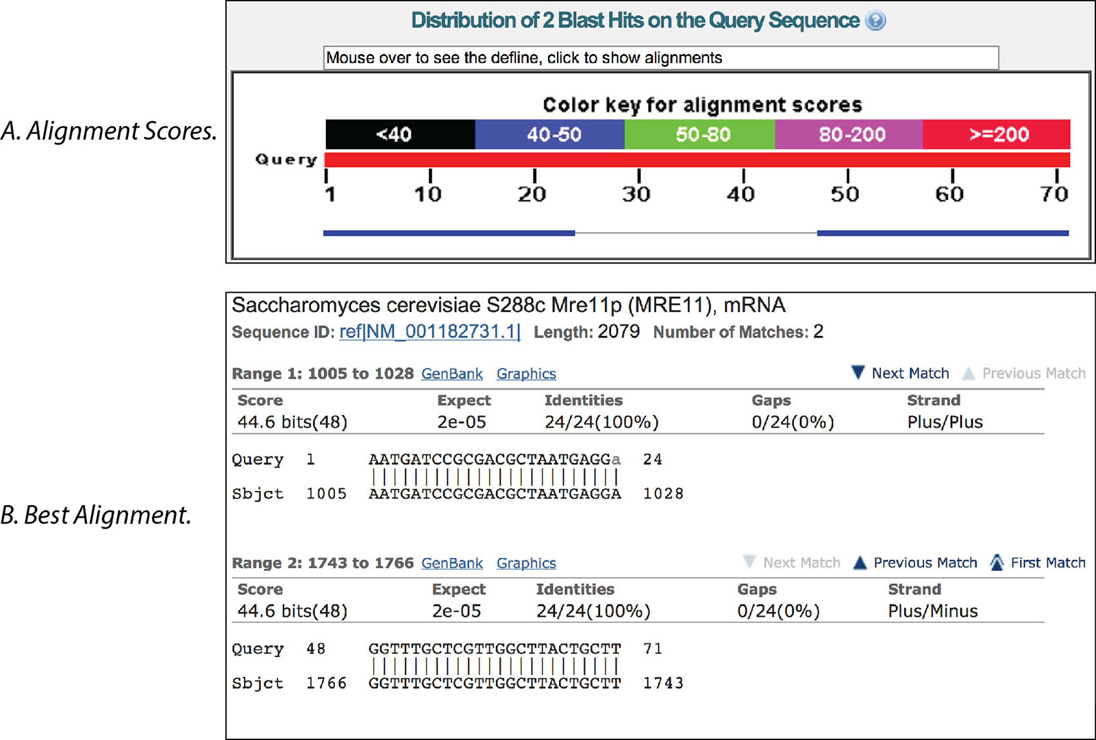 tips for using blast to locate pcr primers pcr primer