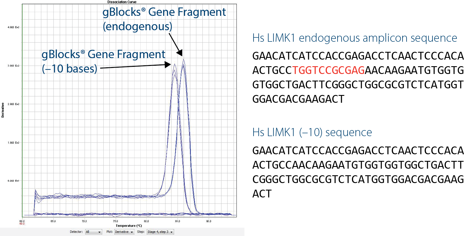 Easily designed standard curves for qPCR