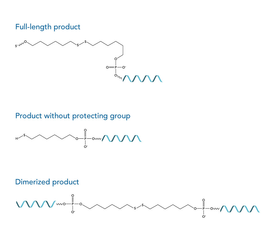 Use thiol modifications to prepare synthetic oligos for attachment