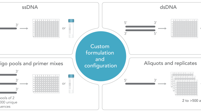 Custom Oligo Synthesis Services | IDT