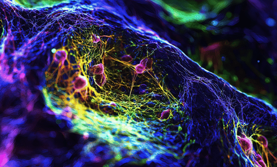 iGEM 2025: Meet some of the teams driving innovation