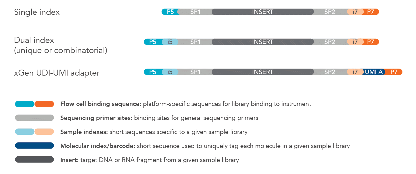 SI, DI, UDI-UMI adapter structures