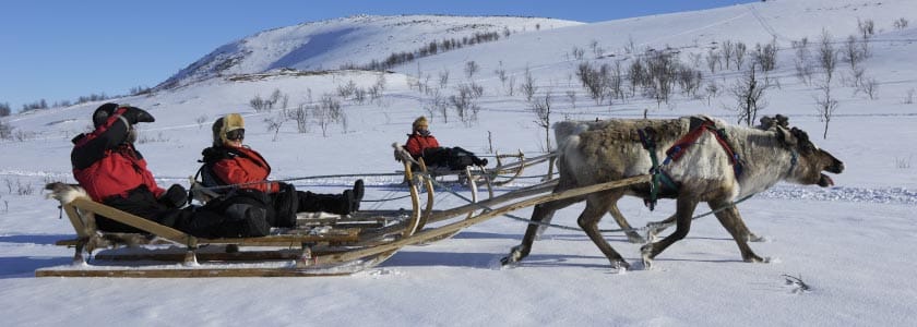 Is tolerance to cold genetic in Humans?