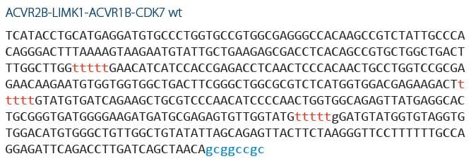 D-PCR13LT-standardcurves-F1 D-PCR13LT-standardcurves-F1