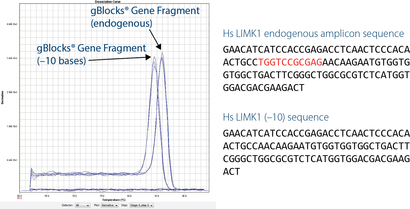 D-PCR13LT-standardcurves-F2 D3.3-Art13-PT-gBlocks SCs Fig 2