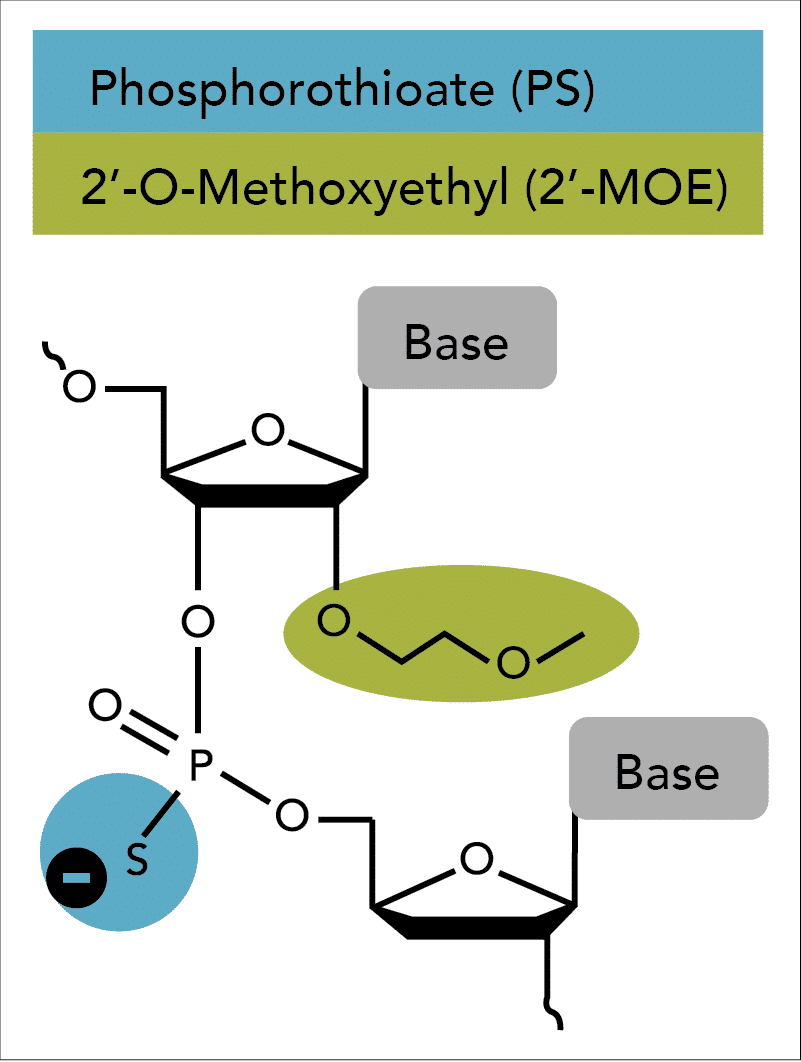 24_DC_Fig1_MOE_Modification 24_DC_Fig1_MOE_Modification