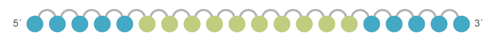 D-OLI18PS-MOE-Fig2