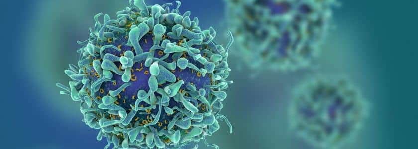 CRISPR news: Cancer immunotherapy gets a boost from a knockout that reversed T cell exhaustion