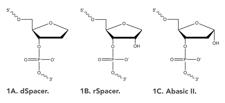 D-OLI16PS-abasic-F1 art109-MH-abasic-Fig1