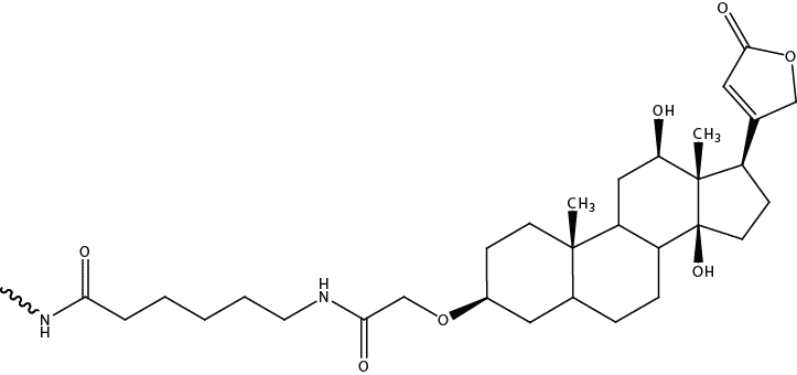 DOart30-MH-Off-catalog_Fig1
