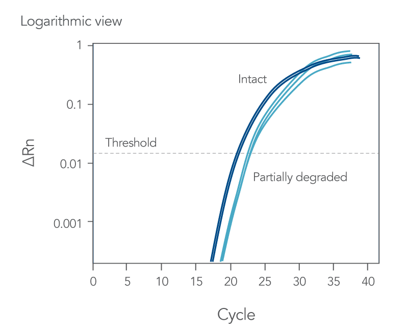 Amplification curves with delayed Cq values