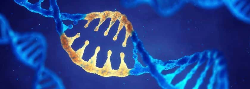 Quick tips when starting a CRISPR experiment