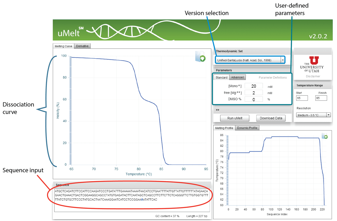 User interface of uMelt tool