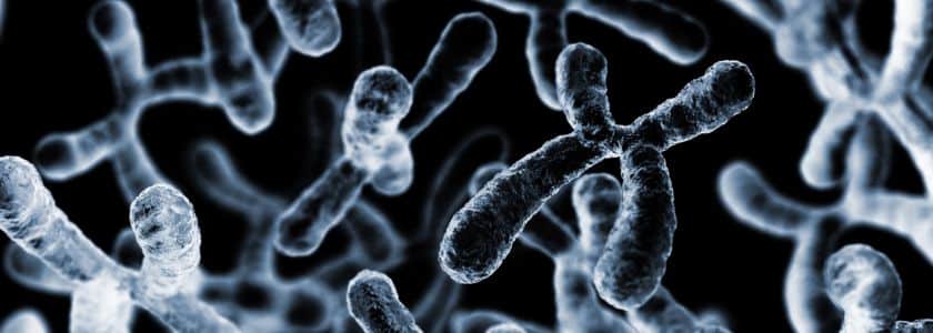 Karyotyping: What is it and why is it important?