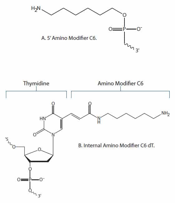 D-OLI12PS-Postsynth conj-F3 amino modifiers used to attach NHS esters
