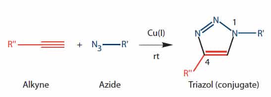 D-OLI12PS-Postsynth conj-F4 basic click chemistry reaction