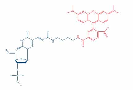 D3.4-CC-dT Fig1 option 1