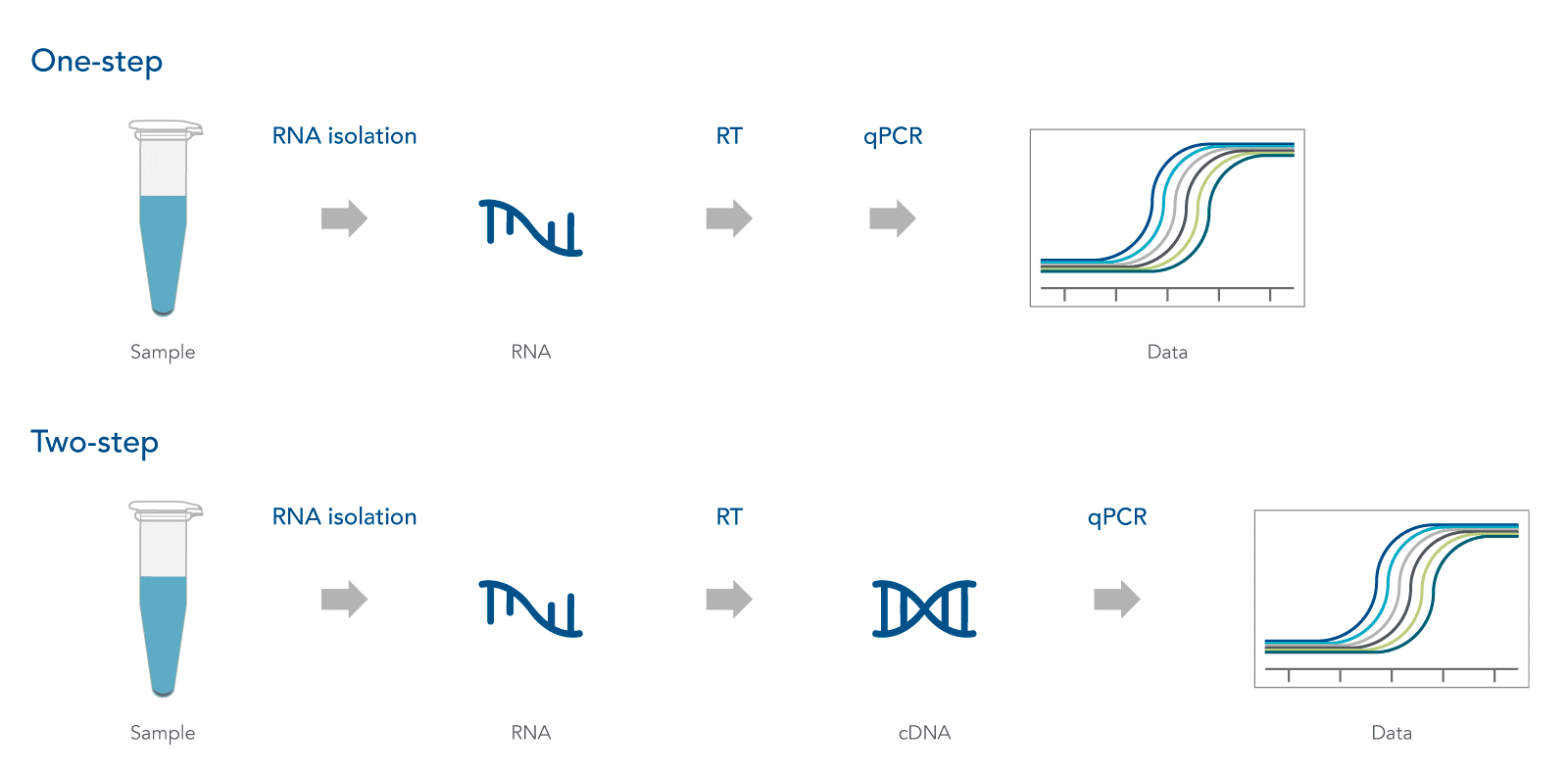 RT-qPCR workflows
