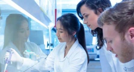 2023: Celebrating two anniversaries: 20 years of iGEM and 10 years of IDT’s Platinum Partnership