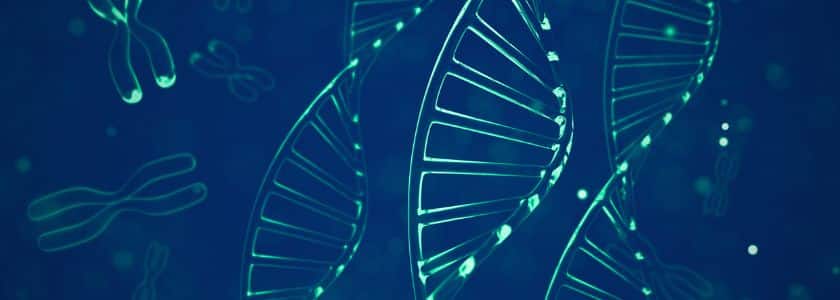 How to use FISH (Fluorescence In Situ Hybridization) to find specific DNA sequences