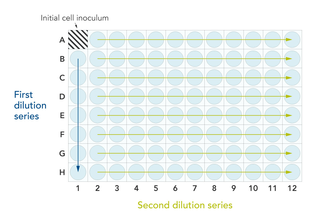 Genome editing in cell culture Isolating single clones for genotypic