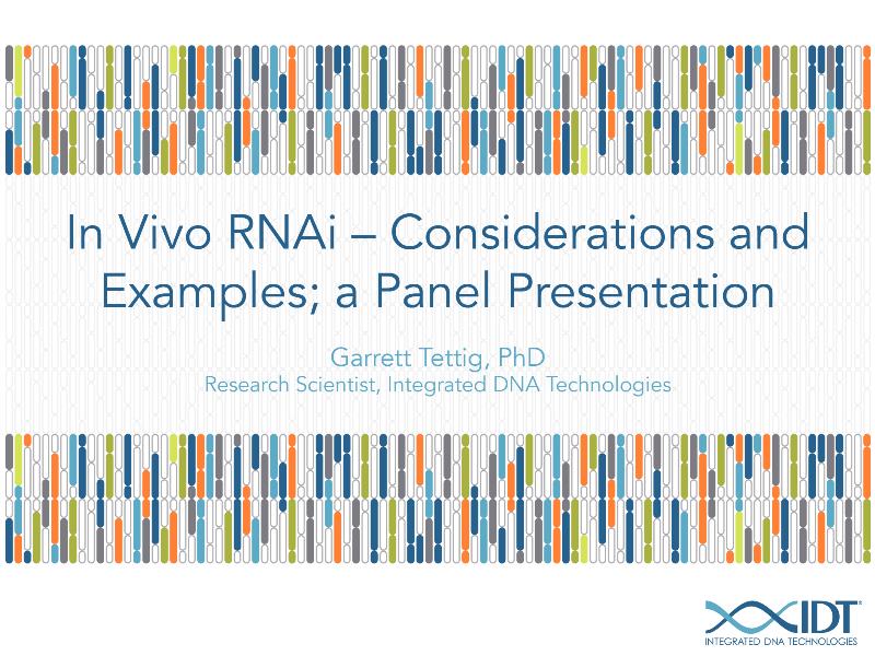 emInvivoemRNAiConsiderationsandexamplesapanelpresentation