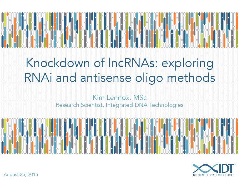 KnockdownoflncRNAsExploringRNAiandantisenseoligomethods