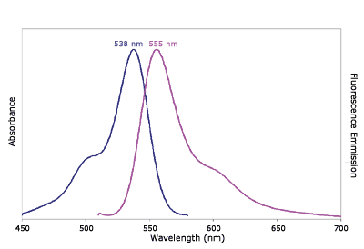 Absorbance and Fluorescence Emission